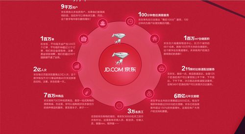 京东官方网站域名解析，京东商城的独特魅力与权威性保障